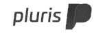 Pluris logo Pluris logo