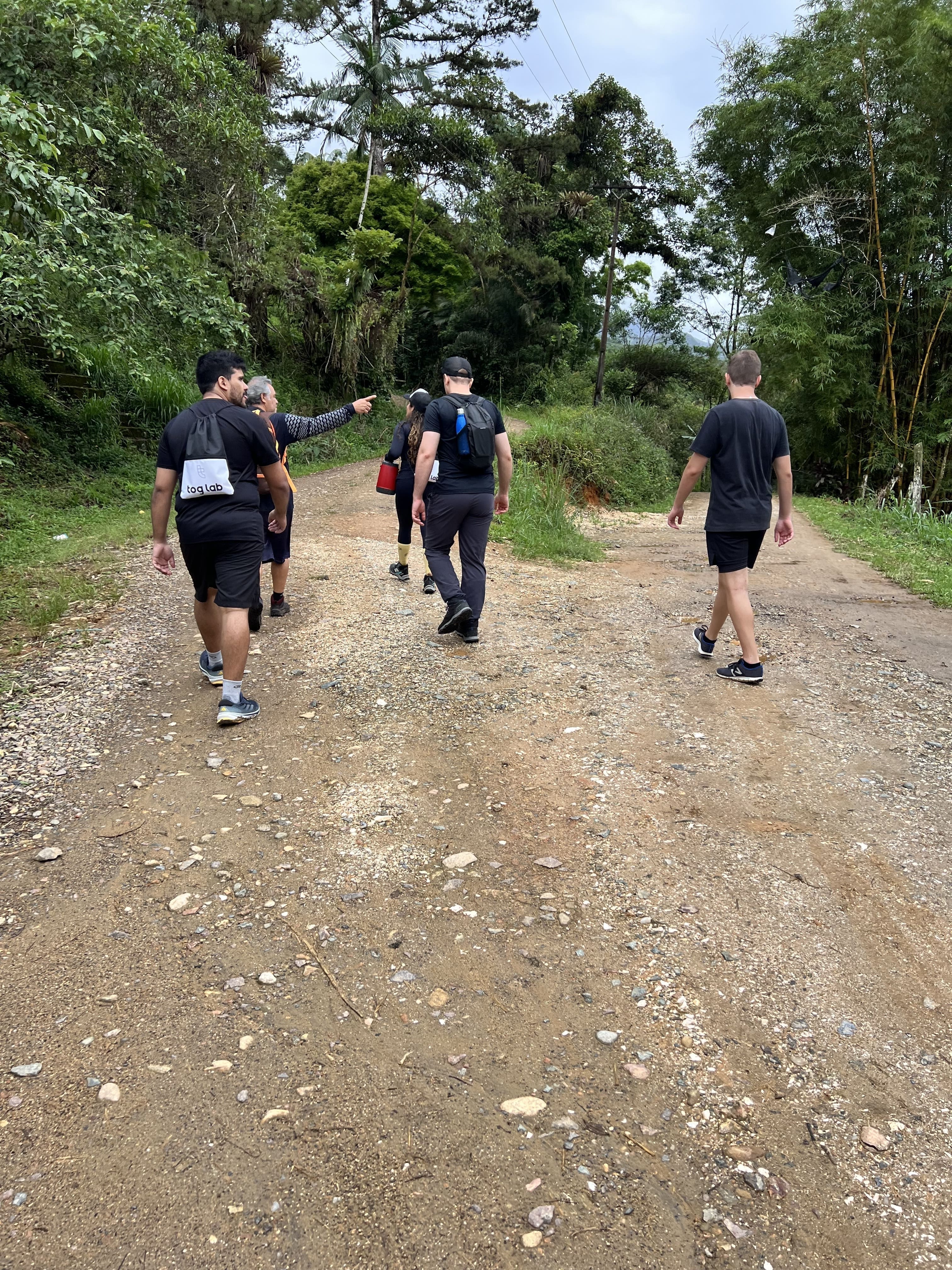 Team members hiking together on a nature trail. Group of team members walking along a dirt trail surrounded by trees and greenery during an outdoor activity.