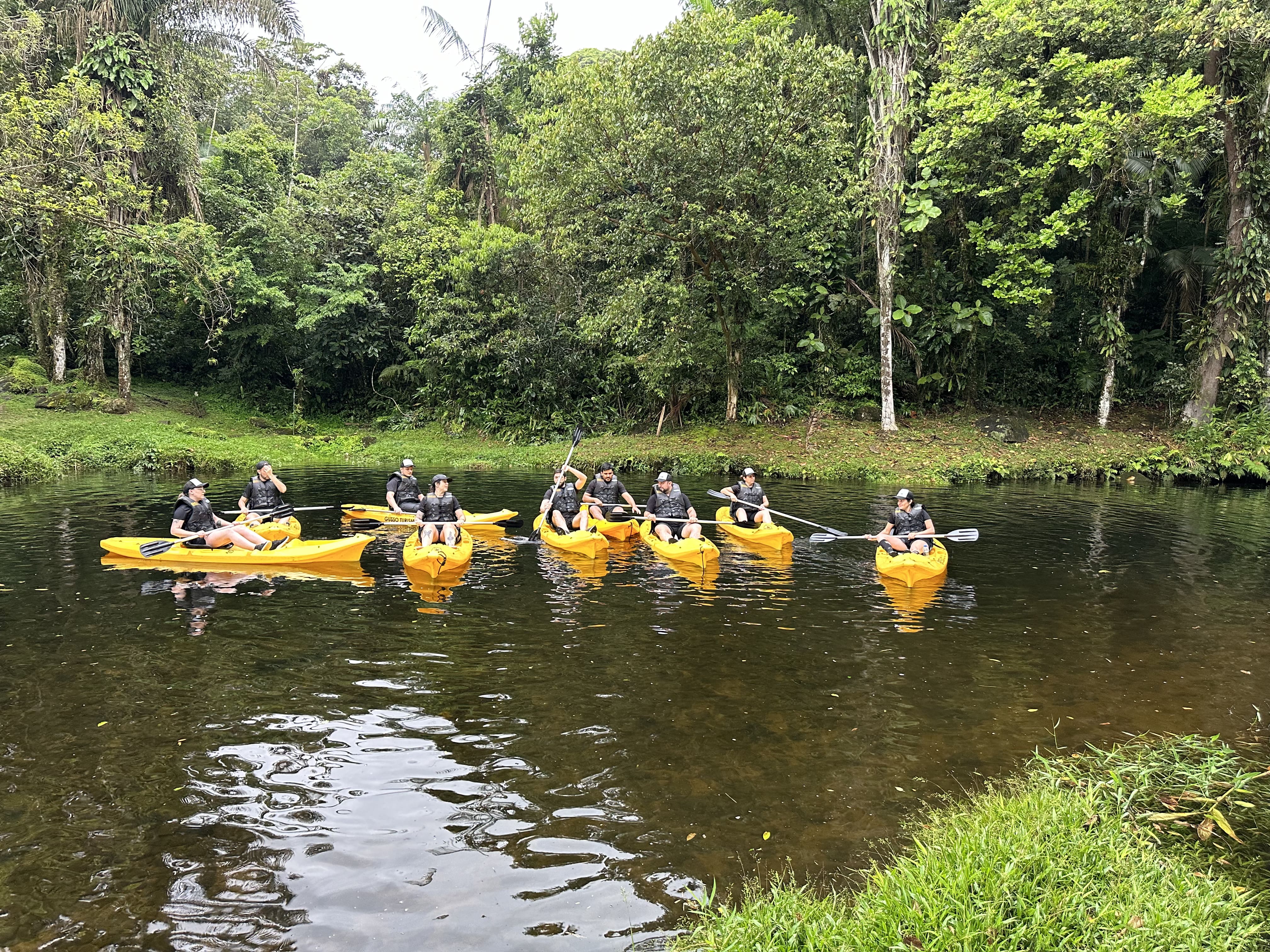 Team group kayaking together on a calm river. Group of team members kayaking in yellow kayaks on a calm river surrounded by dense green forest.